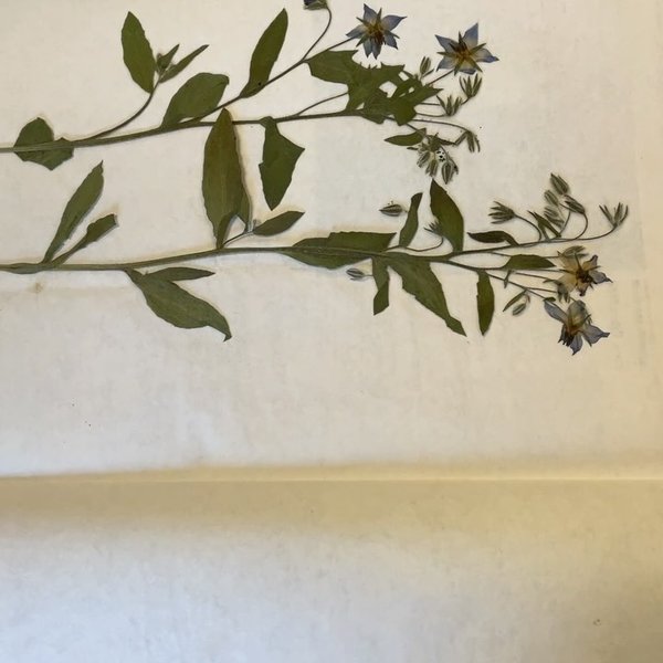 Thumbnail of p-ddufiduieth-5b4467ecae7540c1 9