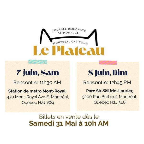 Thumbnail of p-dkgrisanj6s-5b6cefdaab47448a 0