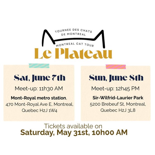 Thumbnail of p-dkgrisanj6s-5b6cefdaab47448a 1