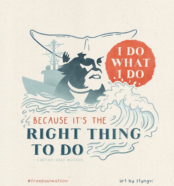 Thumbnail of p-c9xhthvkfwd-5b8a94e157c6433c 0