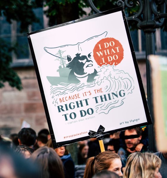 Thumbnail of p-c9xhthvkfwd-5b8a94e157c6433c 1