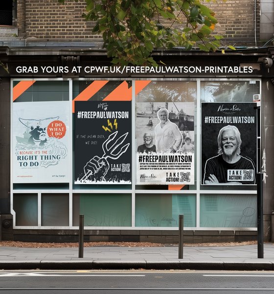 Thumbnail of p-c9xhthvkfwd-5b8a94e157c6433c 2