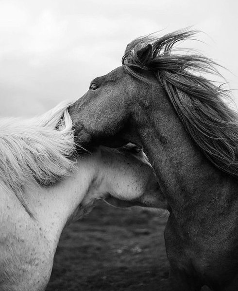 Thumbnail of p-cyixul3mpdf-5ba32b69520d41e5 0