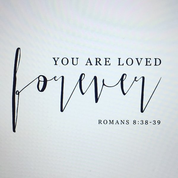 Thumbnail of p-bcih1stgv50-5bc4ab58fc9c4936 0