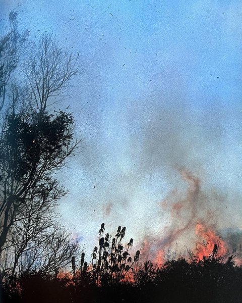 Thumbnail of p-cs3xgccxyvc-5bf1e8856af1493a 2