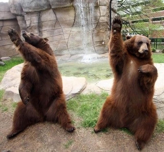 Thumbnail of p-cd60yfbamhl-5c0d071912c348cc 0