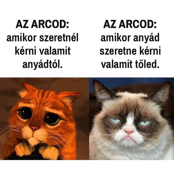 Thumbnail of bsvyvs-axkj-5c290201dc504e8f 0