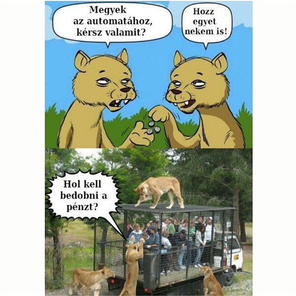 Thumbnail of bsvyvs-axkj-5c290201dc504e8f 1