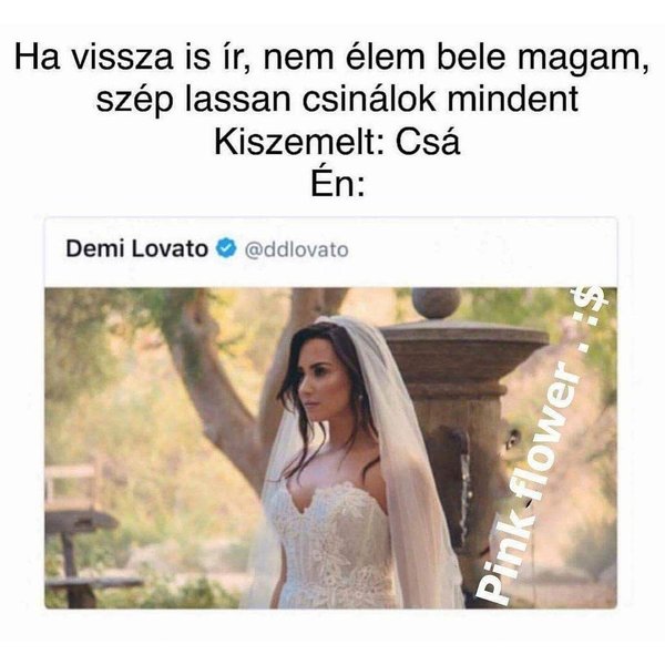 Thumbnail of bsvyvs-axkj-5c290201dc504e8f 2