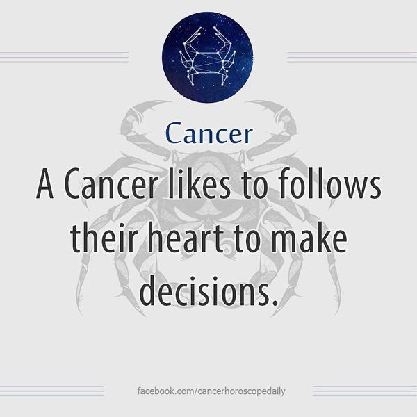 Thumbnail of p-br8k8hdhg2u-5c3c489762204f8b 3