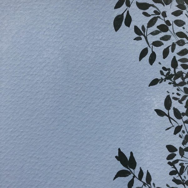 Thumbnail of p-cewmjr6hddg-5c54fbf6afdb468c 2