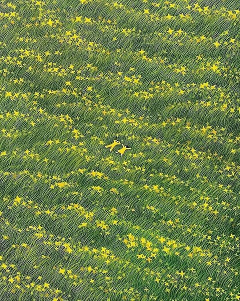 Thumbnail of pmamtraveller-pmamtraveller-5c5b75728af0411b 4