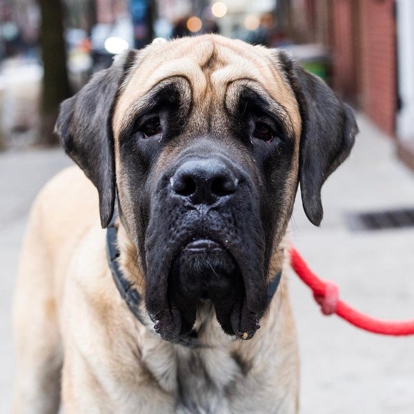 Thumbnail of p-bs6ekvfhfgg-5c977838fa76404c 0