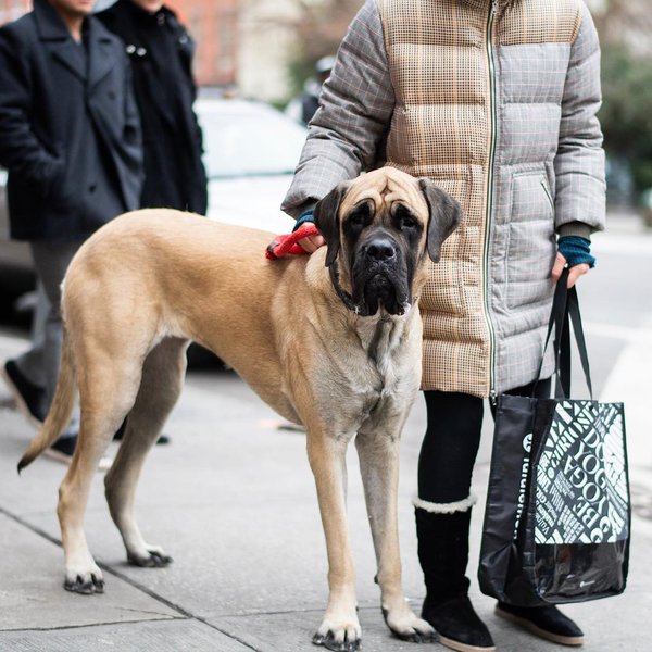 Thumbnail of p-bs6ekvfhfgg-5c977838fa76404c 1