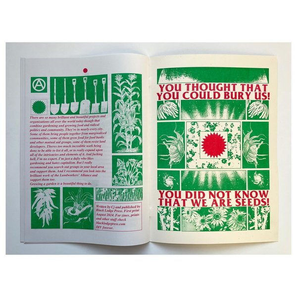 Thumbnail of p-dctgt9soq1f-5cc5909e9cb8422d 4