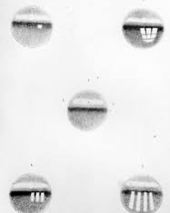 Thumbnail of p-cpxvwodtauh-5cd8e57f452c4ac5 1