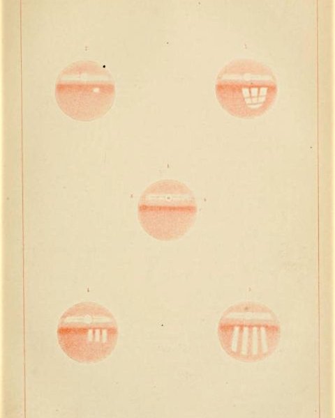 Thumbnail of p-cpxvwodtauh-5cd8e57f452c4ac5 2