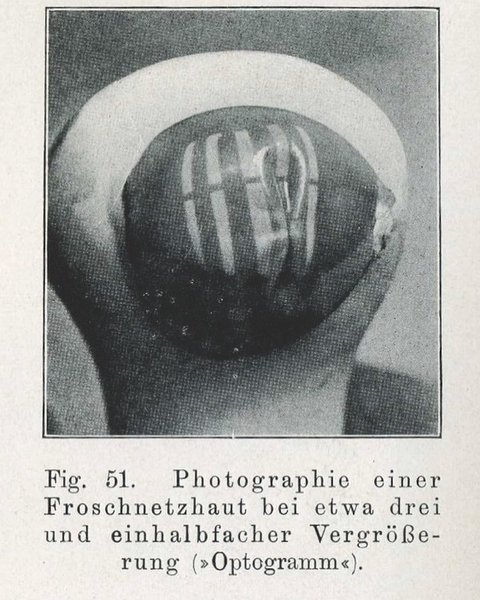 Thumbnail of p-cpxvwodtauh-5cd8e57f452c4ac5 3