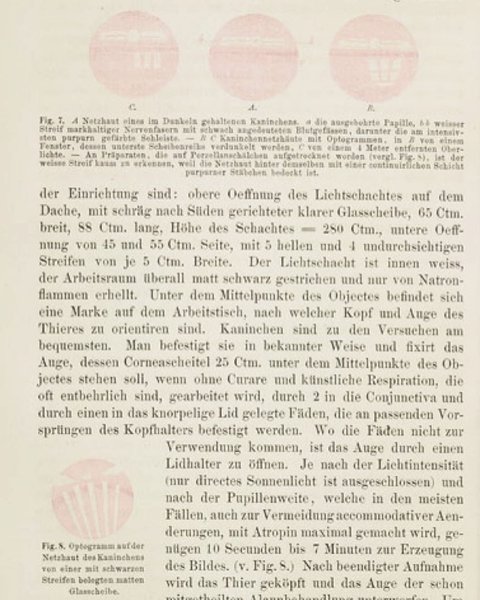 Thumbnail of p-cpxvwodtauh-5cd8e57f452c4ac5 4