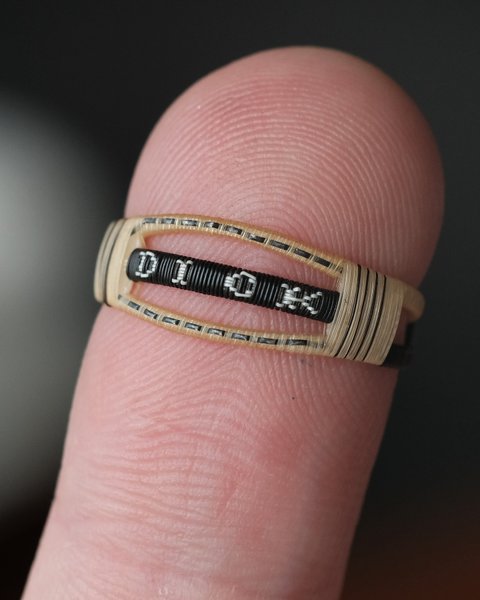 Thumbnail of p-c8toeloit4p-5cdb2f1e20e04af6 0