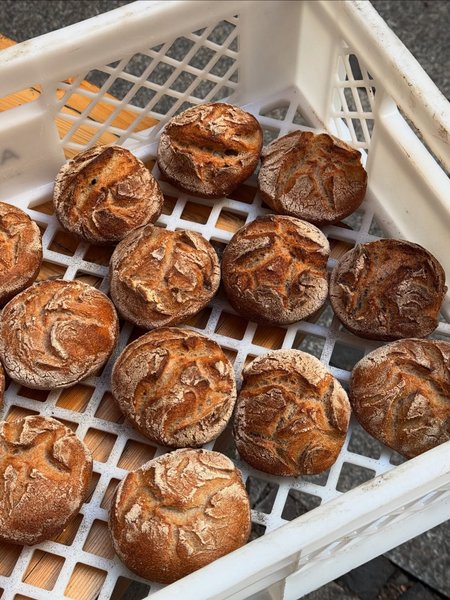 Thumbnail of p-dmnkpsxmas3-5cddb75bd3394765 0