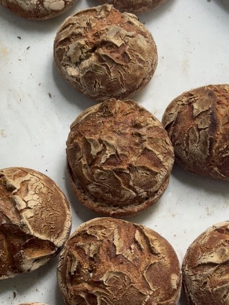 Thumbnail of p-dmnkpsxmas3-5cddb75bd3394765 1