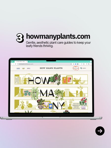 Thumbnail of p-dnlr6nytt9d-5cfe62ac4e3d4c84 3