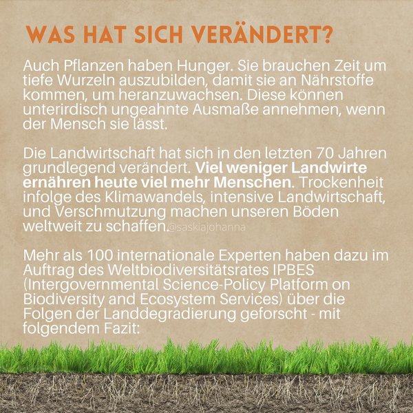 Thumbnail of p-cbo2lannkz9-5d50d61e1799446a 1