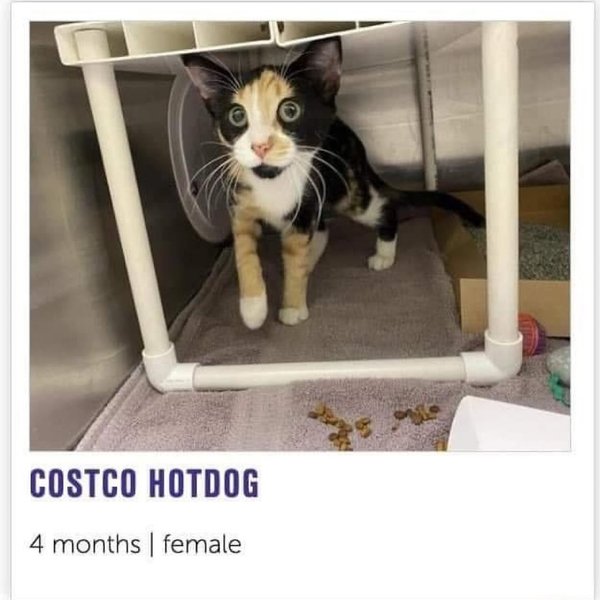 Thumbnail of l-p4gymbu-5d5538e6d8c9442c 0