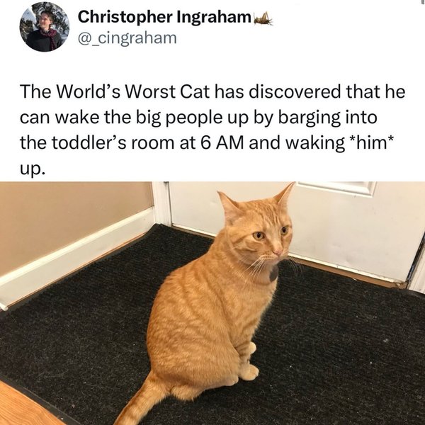 Thumbnail of l-p4gymbu-5d5538e6d8c9442c 1