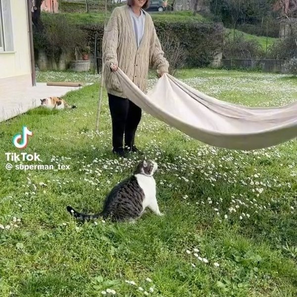 Thumbnail of l-p4gymbu-5d5538e6d8c9442c 2