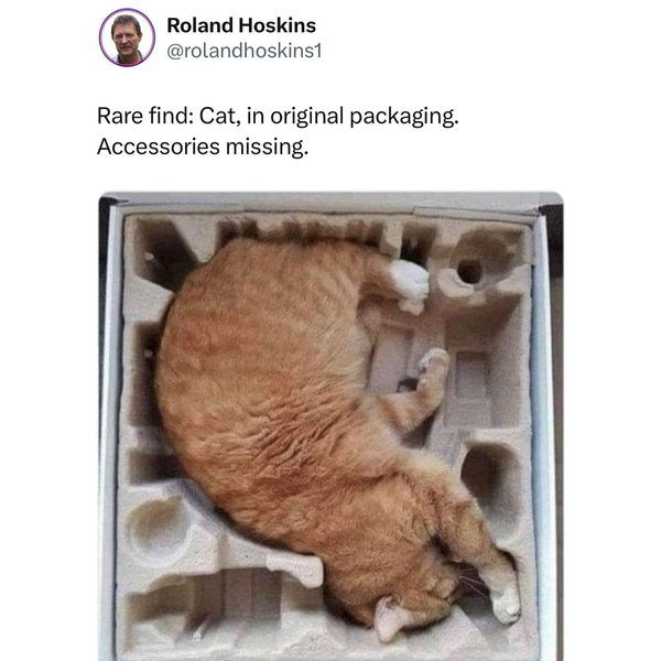 Thumbnail of l-p4gymbu-5d5538e6d8c9442c 3