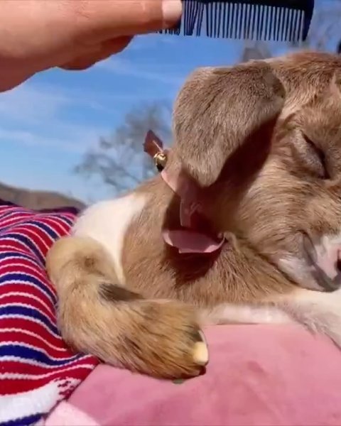 Thumbnail of c-8ddr1rrev-5d861f4c4a6d4c15 12