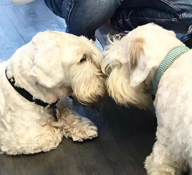 Thumbnail of p-bxgufsmhg6n-5dc33d3769464070 0