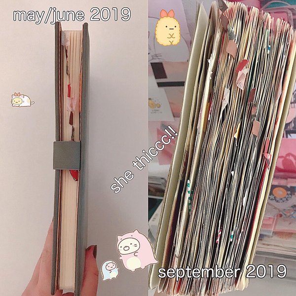 Thumbnail of p-b3wfwohhmqy-5de92618d97c43c7 1