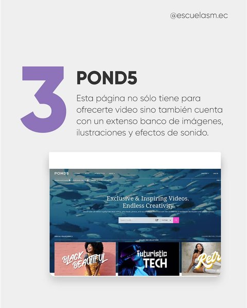 Thumbnail of p-cms9ufgm1nd-5df0bb60cc694b4e 3