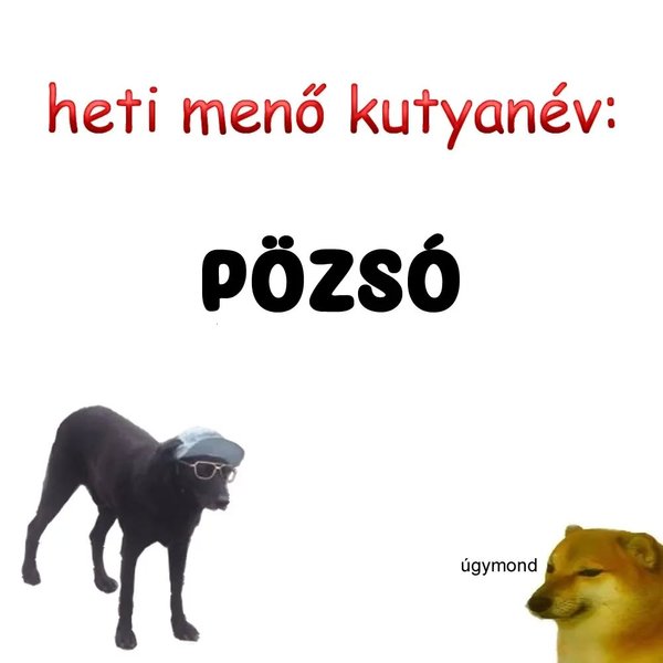Thumbnail of cm-aqhjtdgn-5e27accf6f1f4a4c 0