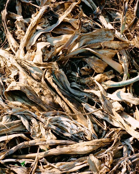 Thumbnail of p-c0rfgcxn2ot-5e28a6c3e5a448a0 6