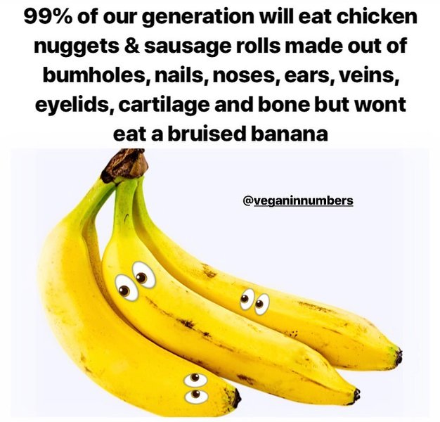 Thumbnail of p-bxuzyfwakit-5e5146c573b64d86 0