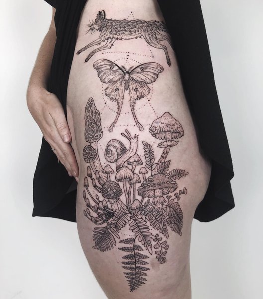 Thumbnail of p-b2azwzddh0g-5e714482b78e4e8b 0