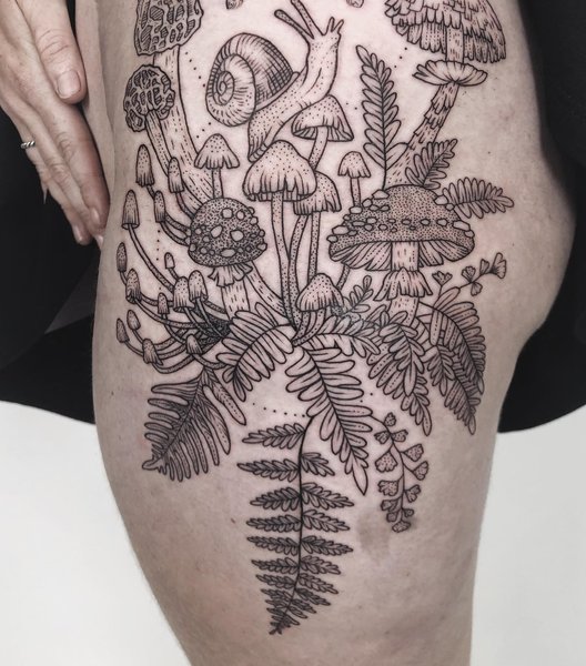 Thumbnail of p-b2azwzddh0g-5e714482b78e4e8b 1