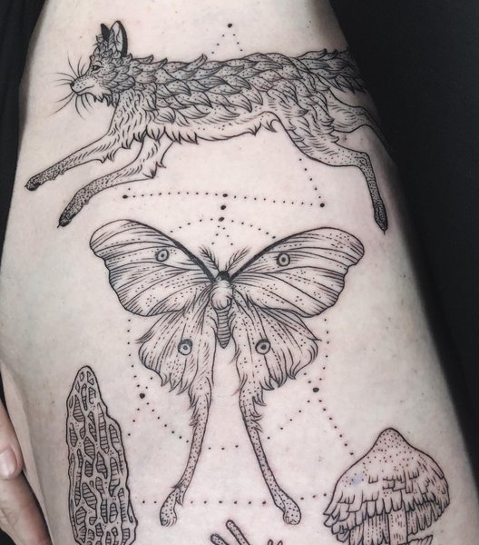 Thumbnail of p-b2azwzddh0g-5e714482b78e4e8b 2