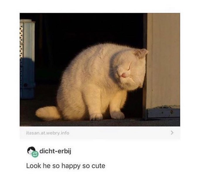 Thumbnail of p-b1vmz4yl184-5e7632a1de4a4f8b 0