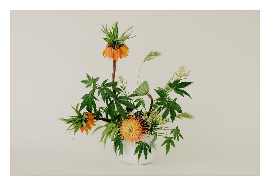 Thumbnail of p-byx8ht9fvd0-5e7d3bb5644641c2 0