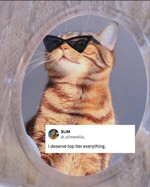 Thumbnail of p-c5eeaofpnbt-5eaa1fad036947aa 5