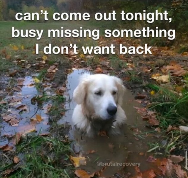 Thumbnail of p-dhrzwuyzqm1-5ed18cb054f54aca 0