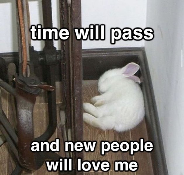 Thumbnail of p-dhrzwuyzqm1-5ed18cb054f54aca 5