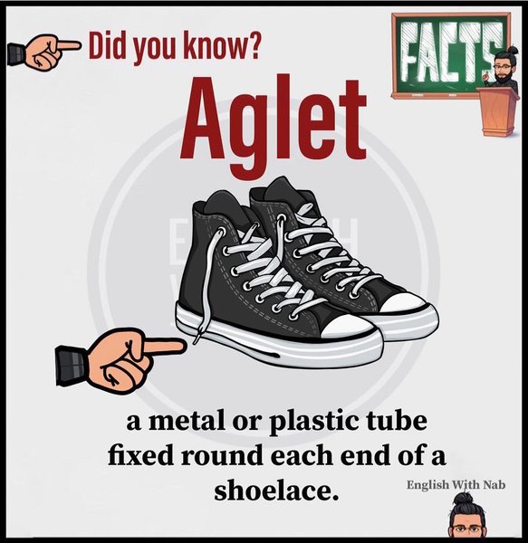 Thumbnail of p-bsvhx7kjmw6-5ee6e4b86bcb4594 3