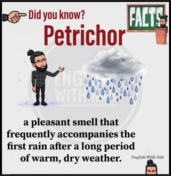 Thumbnail of p-bsvhx7kjmw6-5ee6e4b86bcb4594 5