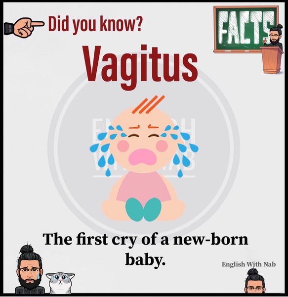 Thumbnail of p-bsvhx7kjmw6-5ee6e4b86bcb4594 6